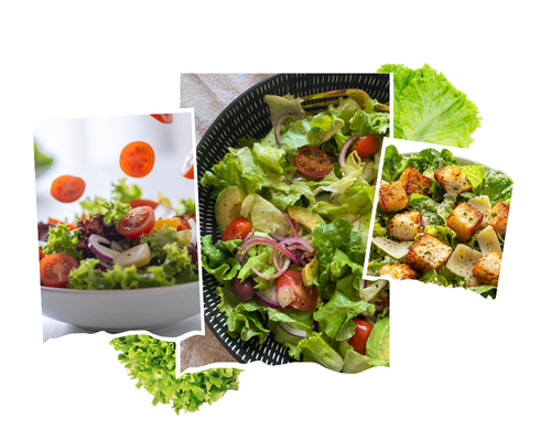 salad 500x400